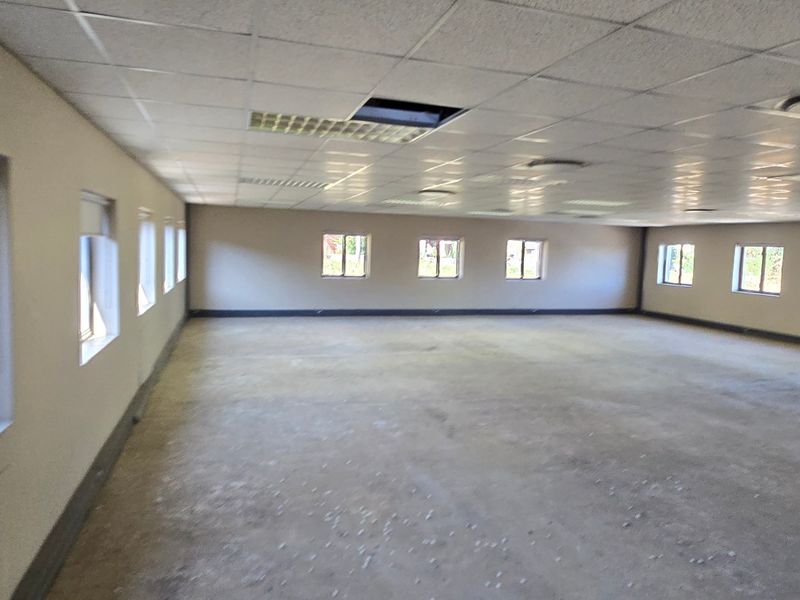 A large, vacant commercial office space featuring a suspended ceiling, recessed lighting, and multiple windows providing natural light.
