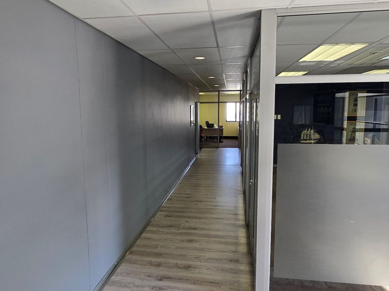 A clean, modern commercial hallway featuring laminate wood-look flooring, a suspended ceiling with recessed lighting, and glass partition walls with frosted privacy film.