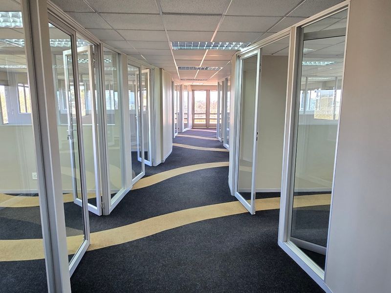 A bright commercial hallway featuring glass partition walls, suspended ceilings, and modern patterned carpeting, providing a professional and open office layout.