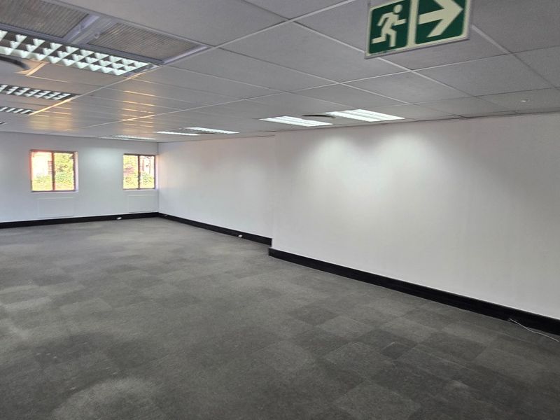 A spacious, empty commercial office area featuring suspended ceilings, recessed lighting, and carpeted flooring, suitable for a flexible workspace layout.