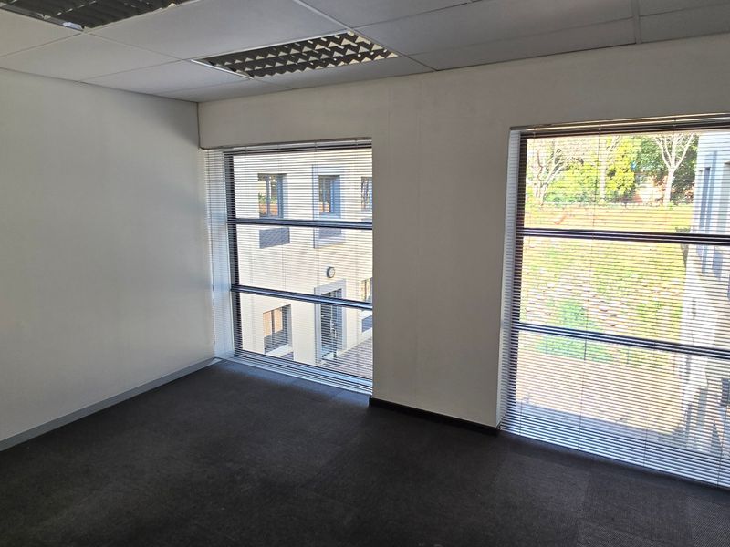 A vacant commercial office space featuring carpeted flooring, suspended ceilings with recessed lighting, and large windows with fitted venetian blinds.