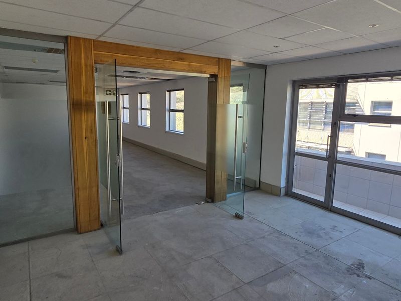 An empty commercial office space featuring glass partitions, a suspended ceiling, and large windows providing natural light.