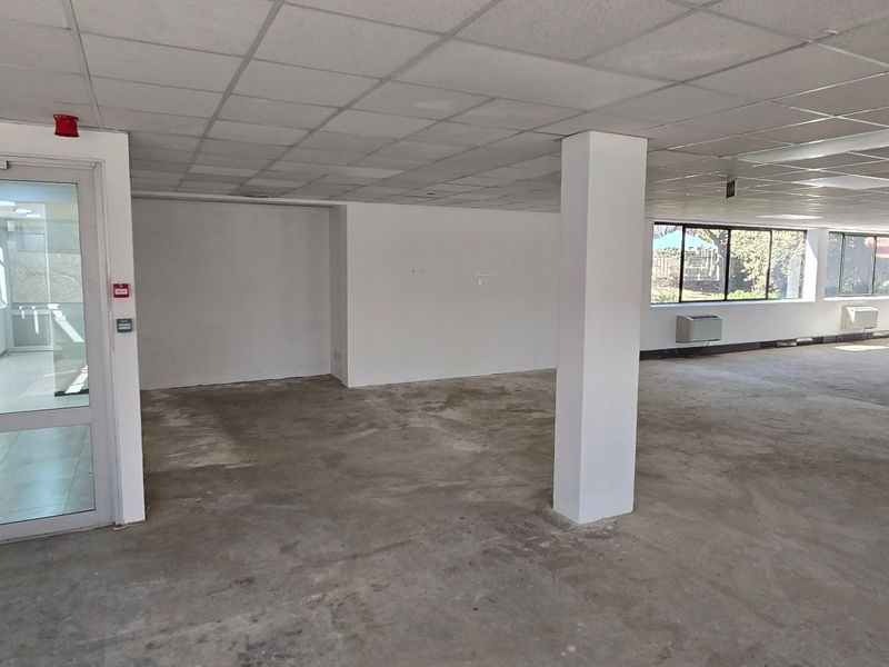Spacious open-plan commercial office area featuring a suspended ceiling, structural columns, and large windows, currently in a shell condition ready for fit-out.