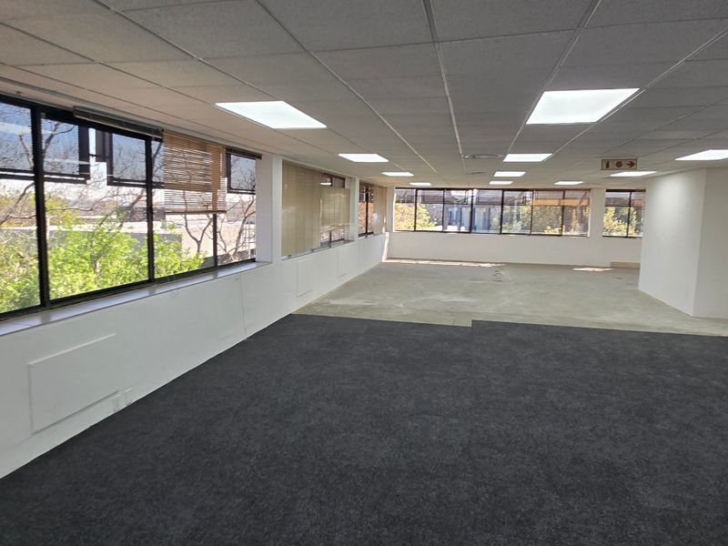 Spacious open-plan commercial office area featuring large windows, suspended ceilings with recessed lighting, and a mix of carpet and concrete flooring.