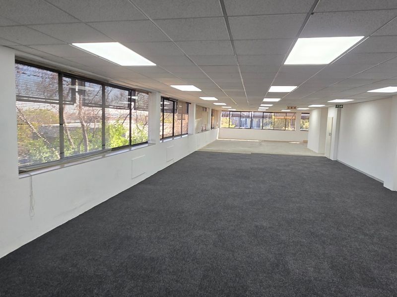 A spacious, open-plan commercial office area featuring large windows, carpeted flooring, and a suspended ceiling with recessed lighting.
