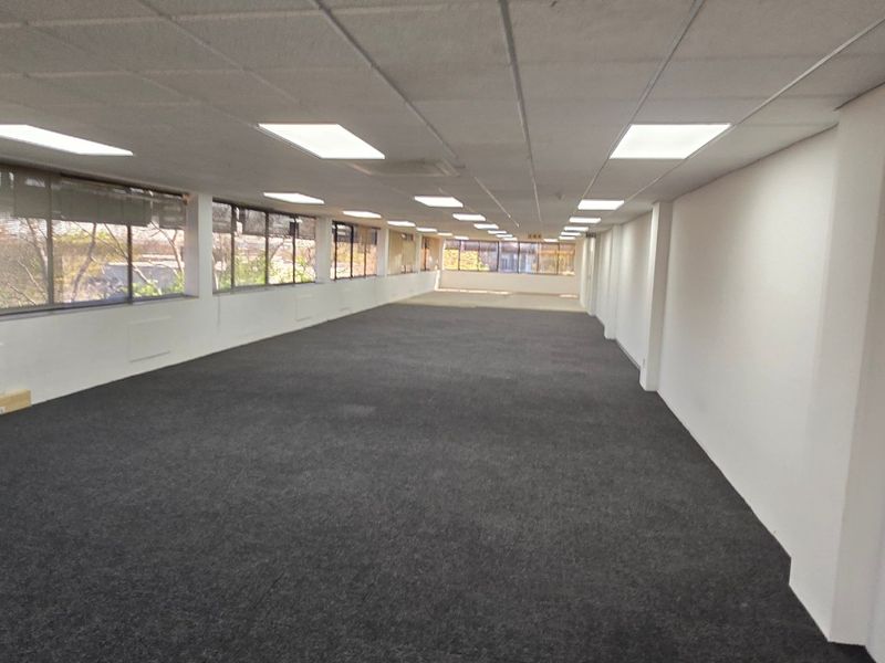 A spacious, open-plan commercial office area featuring large windows, suspended ceilings with recessed lighting, and carpeted flooring.