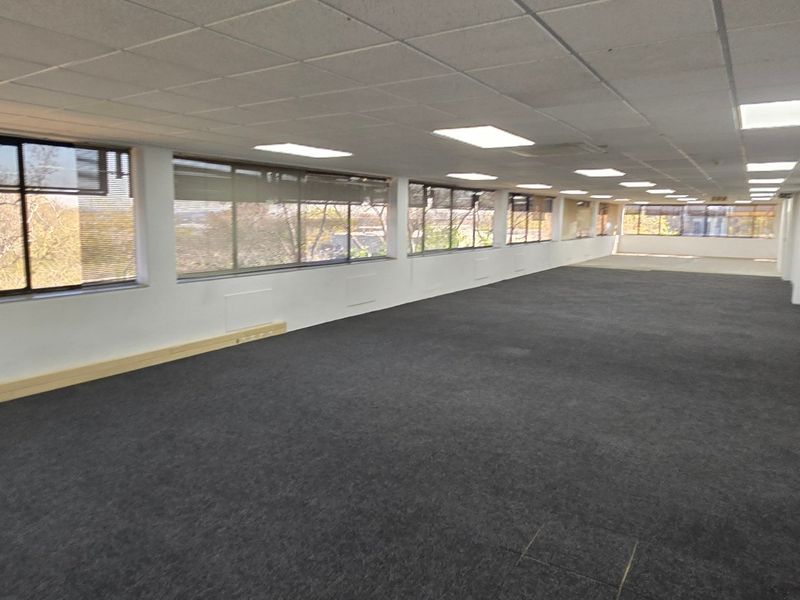 A spacious, open-plan commercial office area featuring large windows, carpeted flooring, and a suspended ceiling with recessed lighting.