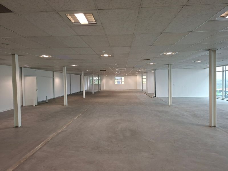 Spacious open-plan industrial office area featuring a suspended ceiling, recessed lighting, structural steel columns, and large windows providing ample natural light.