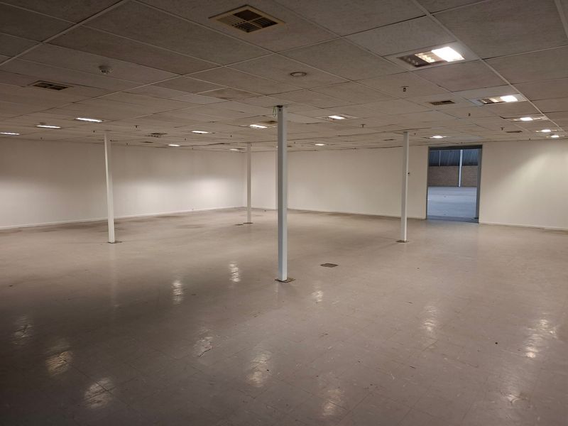 A large, open-plan industrial space featuring a suspended ceiling, recessed lighting, and durable vinyl flooring, suitable for various commercial or warehouse applications.