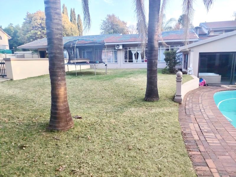 Rear garden area featuring a swimming pool with brick paving, established palm trees, and a tiled roof house exterior.