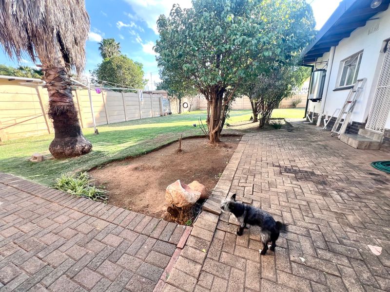 A rear garden area featuring a paved patio, established trees, and a precast concrete boundary wall.