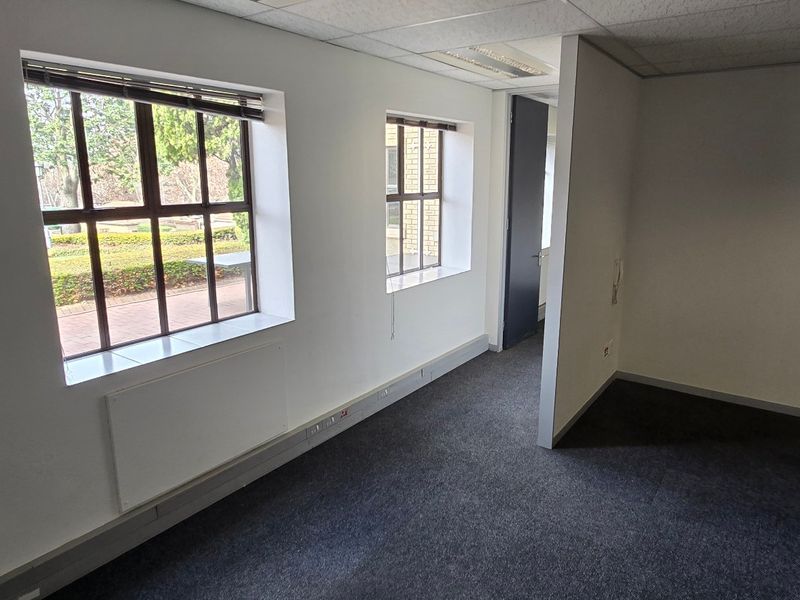 An empty commercial office space featuring carpeted flooring, a suspended ceiling with recessed lighting, and large windows providing natural light.