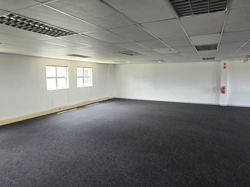 Spacious open-plan office area featuring a suspended ceiling with recessed lighting and dark carpet flooring, providing a clean and versatile workspace.