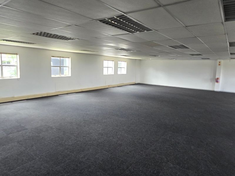 A spacious, open-plan commercial office area featuring a suspended ceiling, recessed lighting, and dark carpet tiles, providing a versatile workspace.