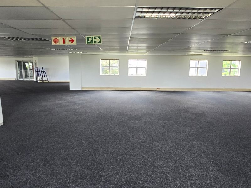 A spacious, open-plan commercial office area featuring a suspended ceiling, recessed lighting, and neutral carpeting, suitable for flexible workspace configurations.