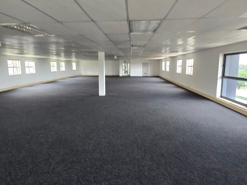 Spacious open-plan commercial office area featuring a suspended ceiling, recessed lighting, and large windows providing ample natural light.