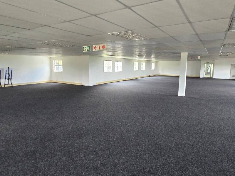 A spacious, open-plan commercial office area featuring a suspended ceiling, recessed lighting, and neutral carpeting, providing a versatile blank canvas for various business configurations.