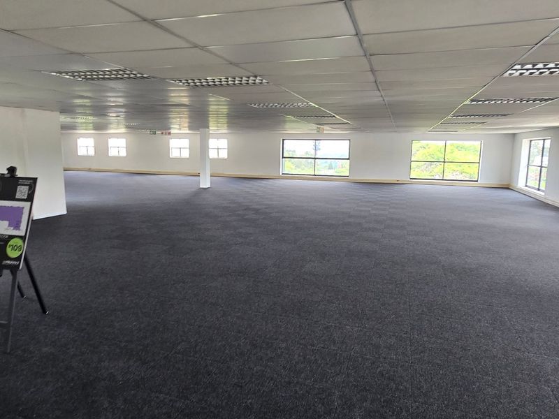 A spacious, open-plan commercial office area featuring a suspended ceiling, recessed lighting, and dark carpet tiles, offering a versatile workspace with ample natural light.