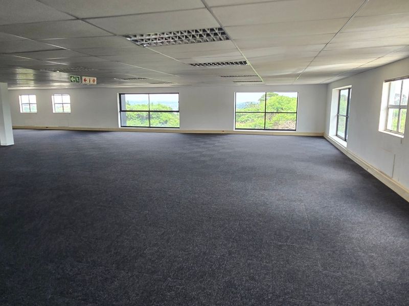 A spacious, open-plan commercial office area featuring large windows, carpeted flooring, and a suspended ceiling with recessed lighting.