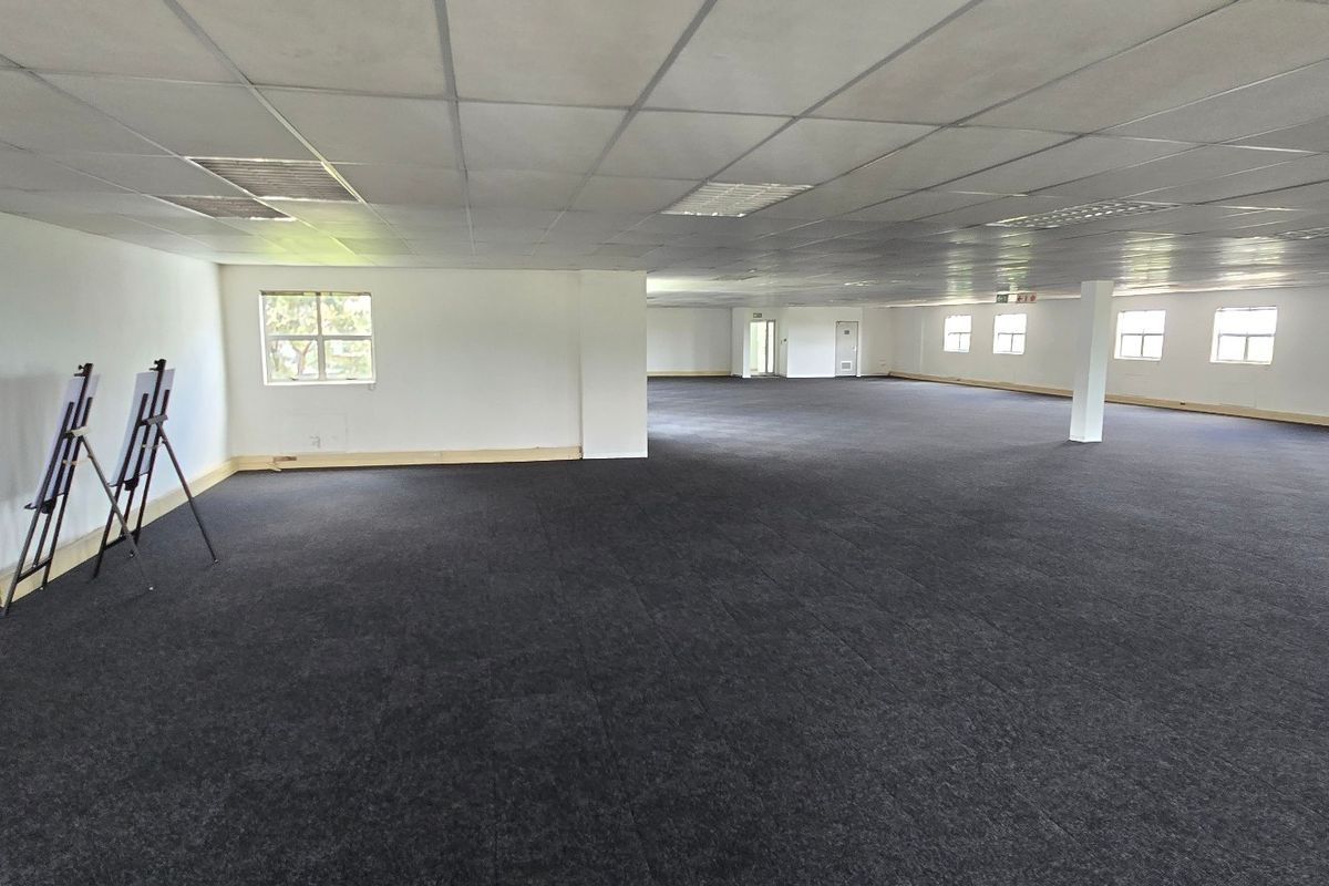 A spacious, open-plan commercial office area featuring a suspended ceiling, recessed lighting, and dark carpeting, offering a versatile layout for various business configurations.
