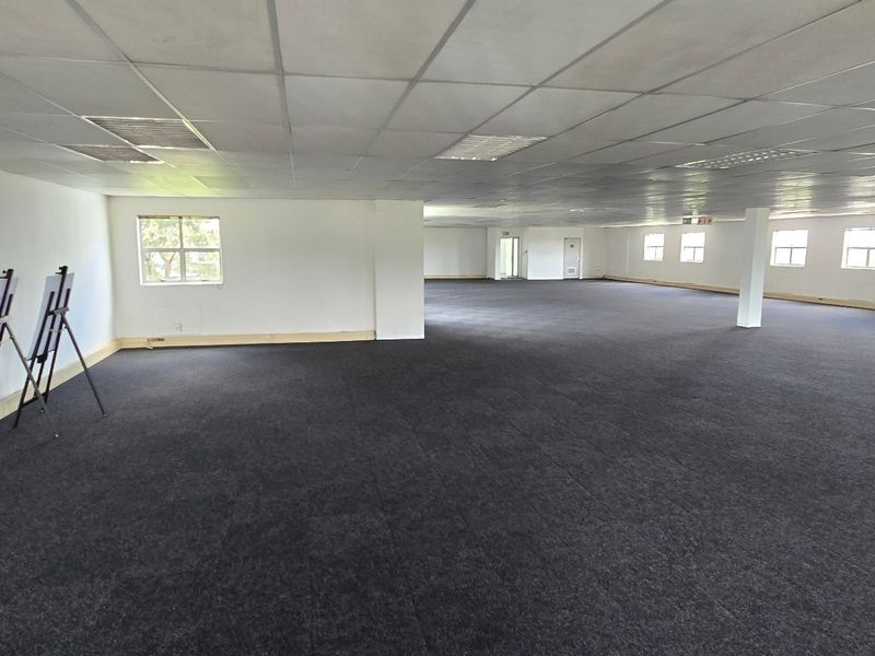A spacious, open-plan commercial office area featuring a suspended ceiling, recessed lighting, and dark carpeting, offering a versatile layout for various business configurations.