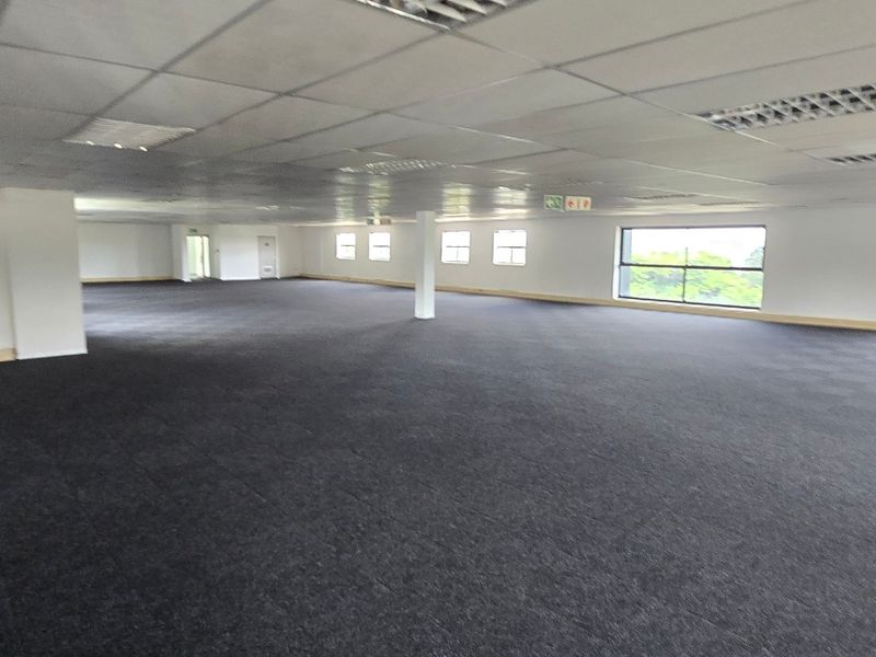 A spacious, open-plan commercial office area featuring carpeted flooring, a suspended ceiling with recessed lighting, and large windows providing natural light.