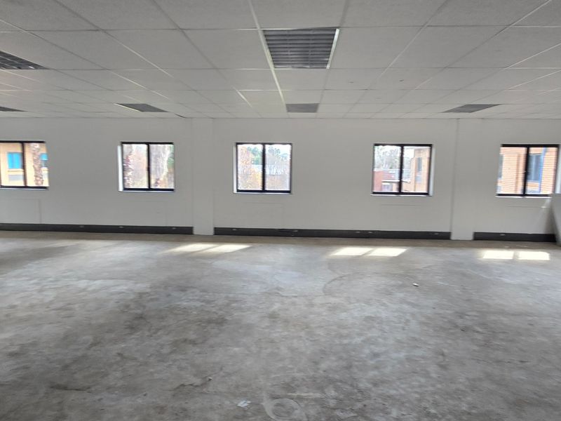 A spacious, vacant commercial office area featuring a suspended ceiling, recessed lighting, and large windows, ready for custom flooring and interior fit-out.