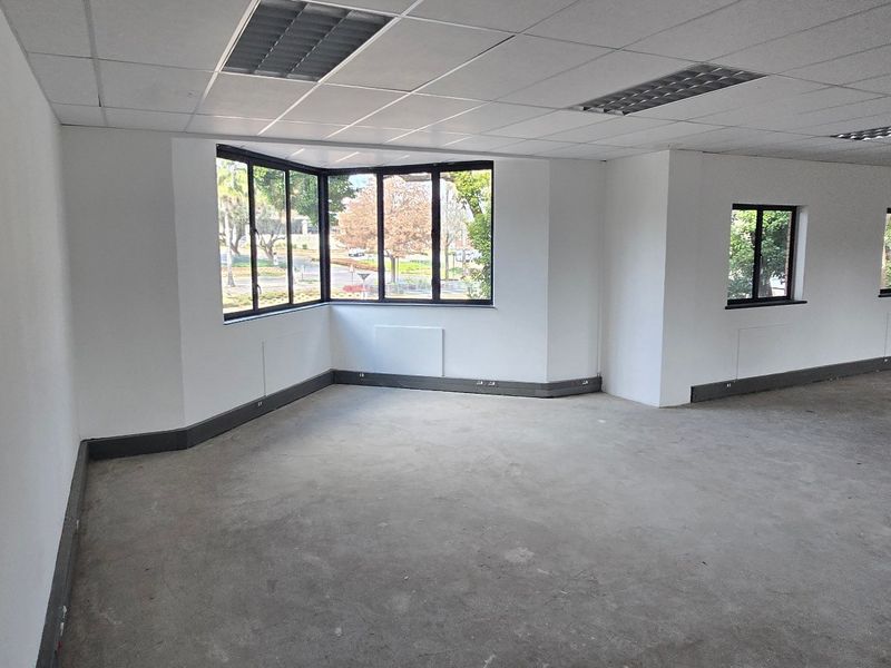 Spacious open-plan commercial office area featuring a suspended ceiling, recessed lighting, and large windows providing ample natural light.