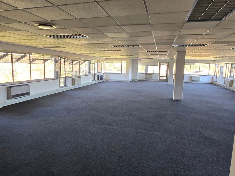 Spacious open-plan commercial office area featuring large windows, suspended ceilings with recessed lighting, and carpeted flooring throughout.