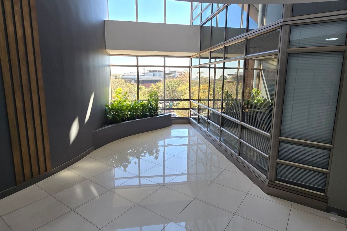 Modern commercial hallway featuring high ceilings, extensive glass curtain walling, polished tiled floors, and integrated timber wall accents.
