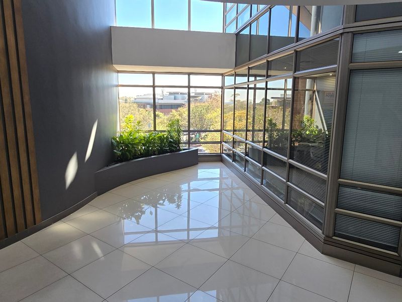 Modern commercial hallway featuring high ceilings, extensive glass curtain walling, polished tiled floors, and integrated timber wall accents.