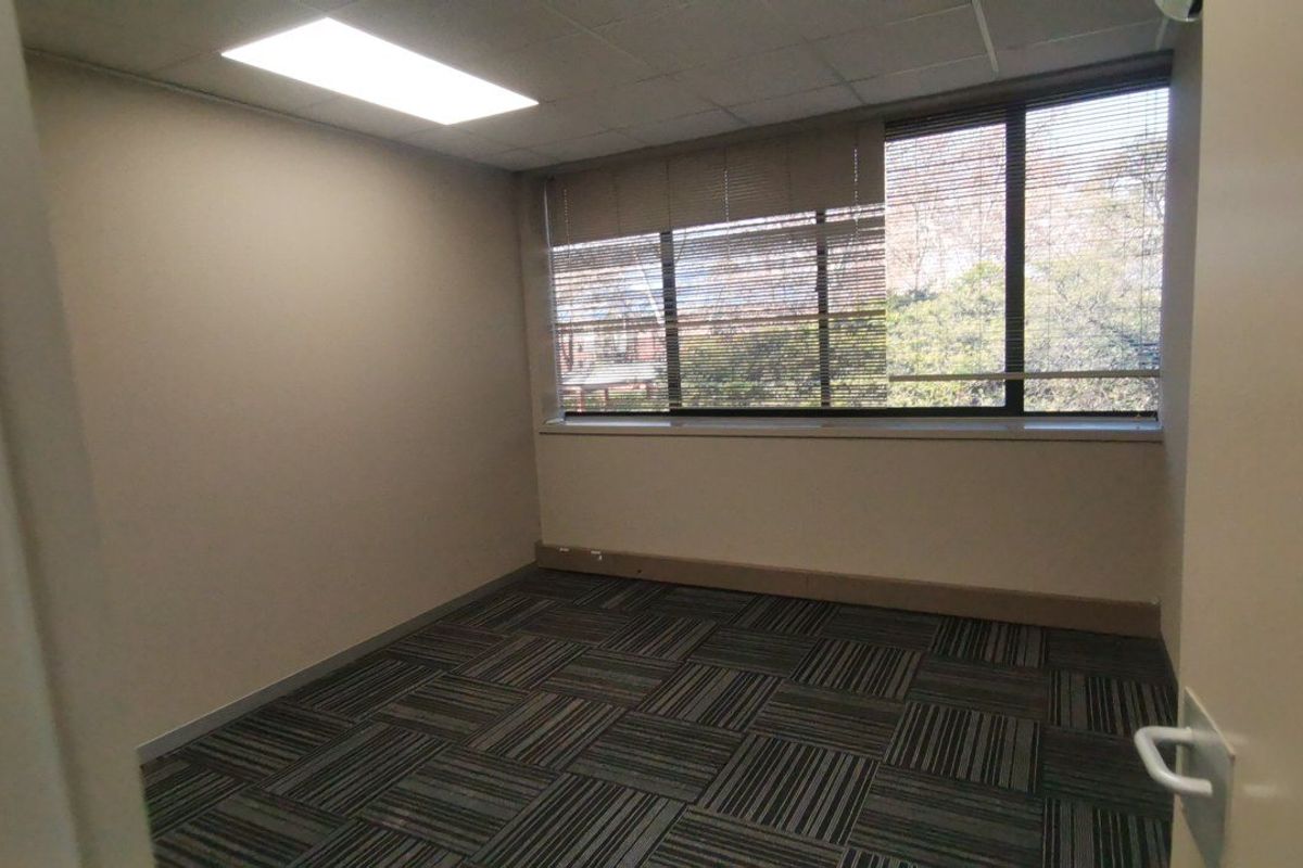 A vacant office space featuring carpet tile flooring, a suspended ceiling with recessed lighting, and a large window with fitted venetian blinds.