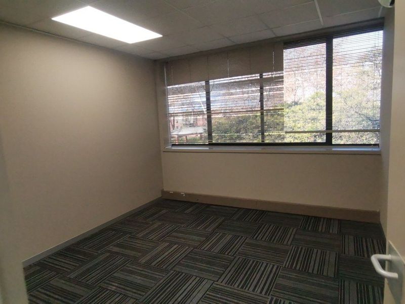 A vacant office space featuring carpet tile flooring, a suspended ceiling with recessed lighting, and a large window with fitted venetian blinds.