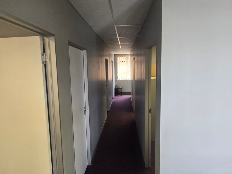 A functional commercial office hallway featuring carpeted flooring, multiple internal access doors, and a suspended ceiling with natural light from the end window.