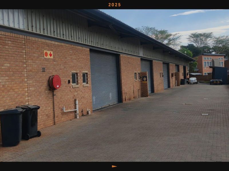 Rear exterior view of a commercial property featuring face brick construction, multiple roller shutter doors, and a paved driveway area.