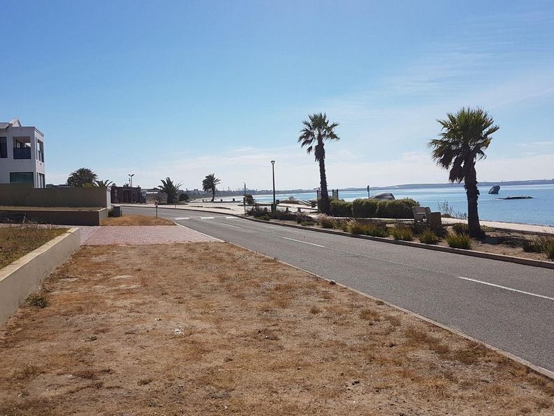A street view of a coastal residential area featuring a paved road, sidewalk, and retaining wall with scenic ocean views.