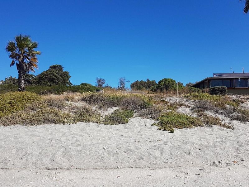 A view of a coastal residential plot featuring sandy terrain, native coastal vegetation, and established palm trees.