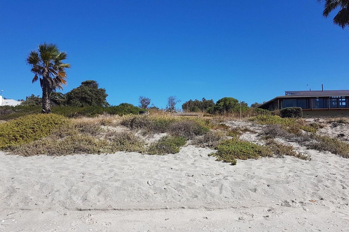 A view of a coastal residential plot featuring sandy terrain, native coastal vegetation, and established palm trees.