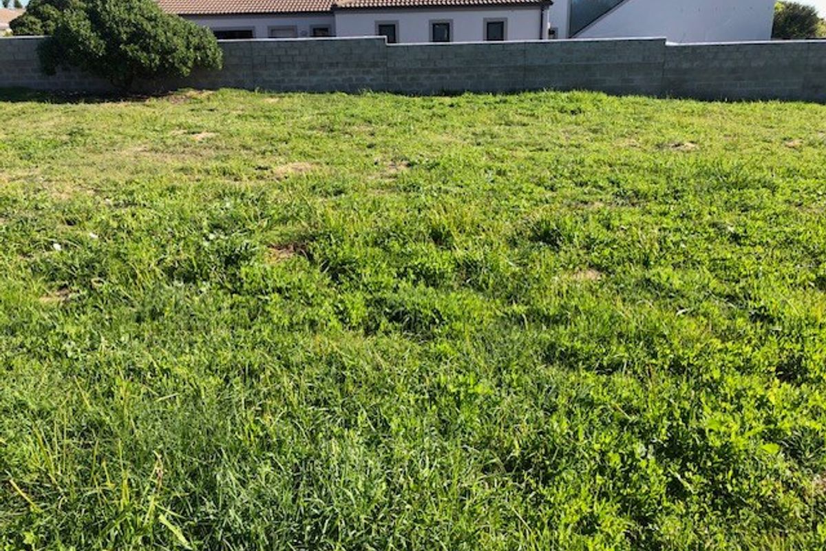 Vacant Land For Sale In Langebaan - Photo 4