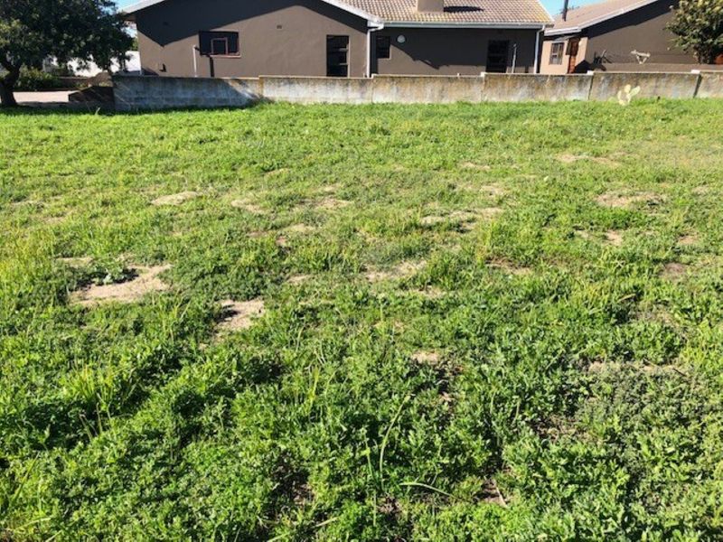 A vacant residential plot featuring a grass lawn and a perimeter boundary wall, offering a clear space for potential development.