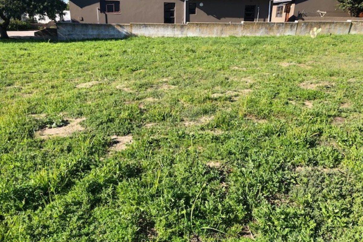 A vacant residential plot featuring a grass lawn and a perimeter boundary wall, offering a clear space for potential development.