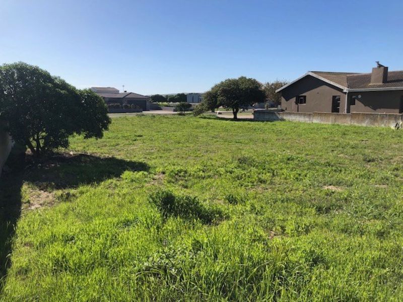 A vacant residential plot featuring open grass, established trees, and a boundary wall, situated in a developed neighborhood.
