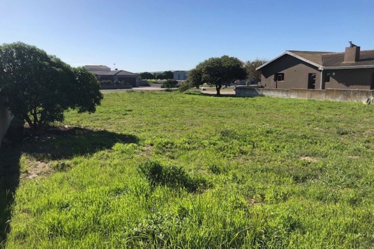 A vacant residential plot featuring open grass, established trees, and a boundary wall, situated in a developed neighborhood.