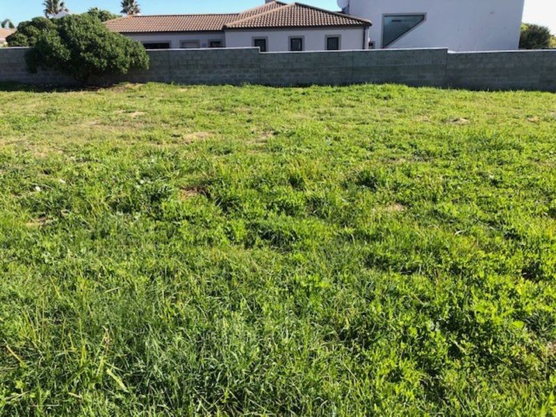 A vacant residential plot featuring a grassed surface and a perimeter boundary wall, situated in a developed neighborhood.