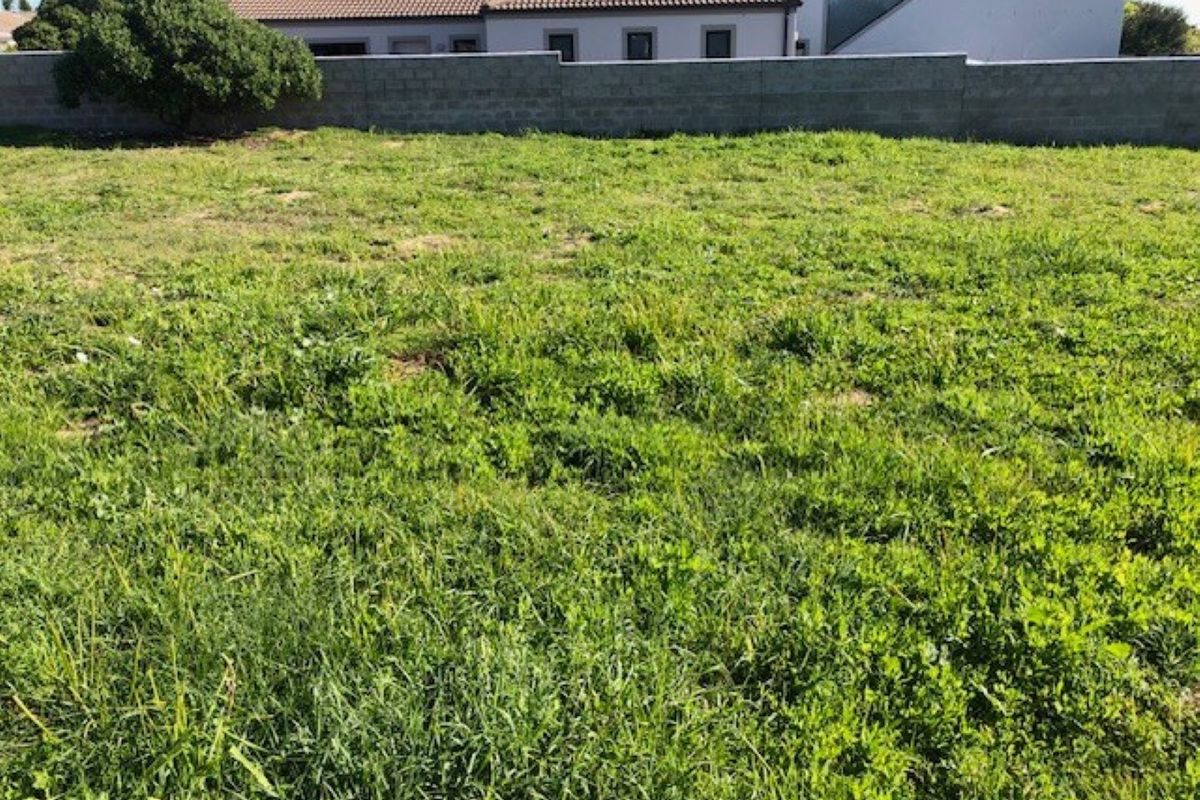 A vacant residential plot featuring a grassed surface and a perimeter boundary wall, situated in a developed neighborhood.