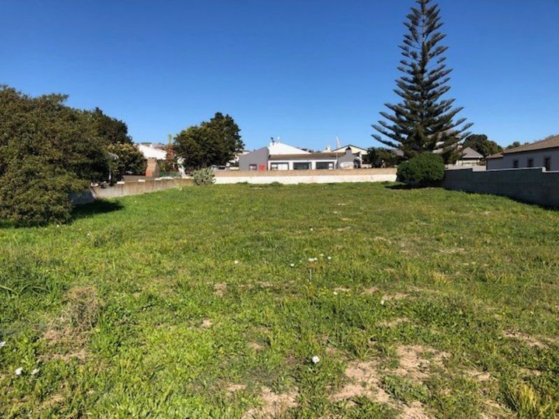 A vacant residential plot featuring a level grassed area, enclosed by boundary walls, and a mature tree.