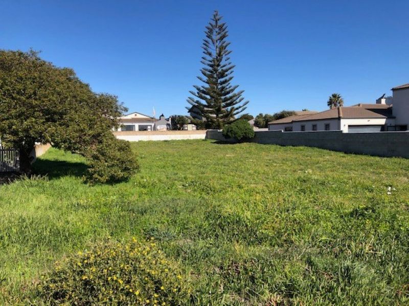 A vacant residential plot featuring a grassy landscape, mature trees, and a perimeter wall, offering a clear space for future development.