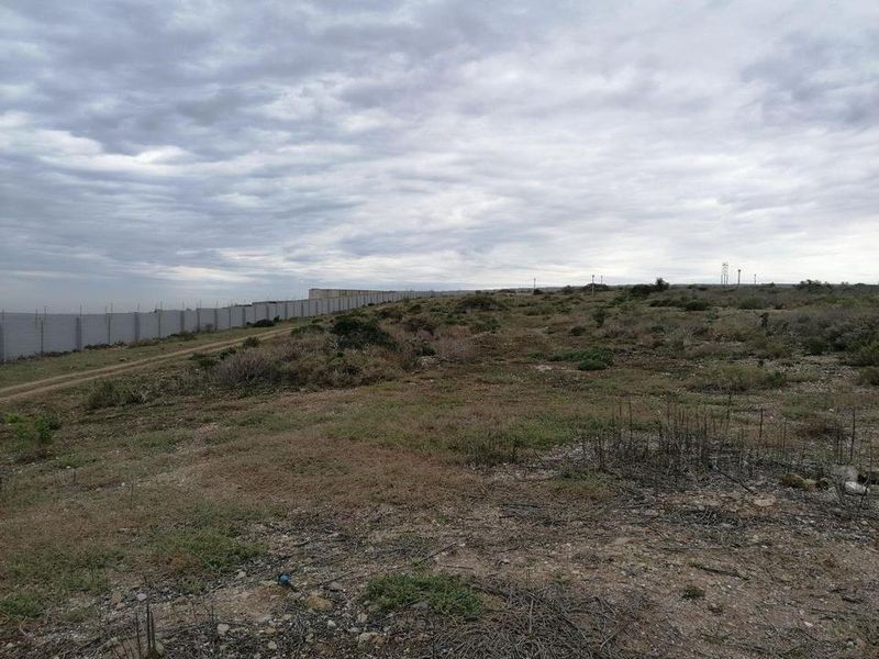 Vacant Land For Sale In Saldanha - Photo 6