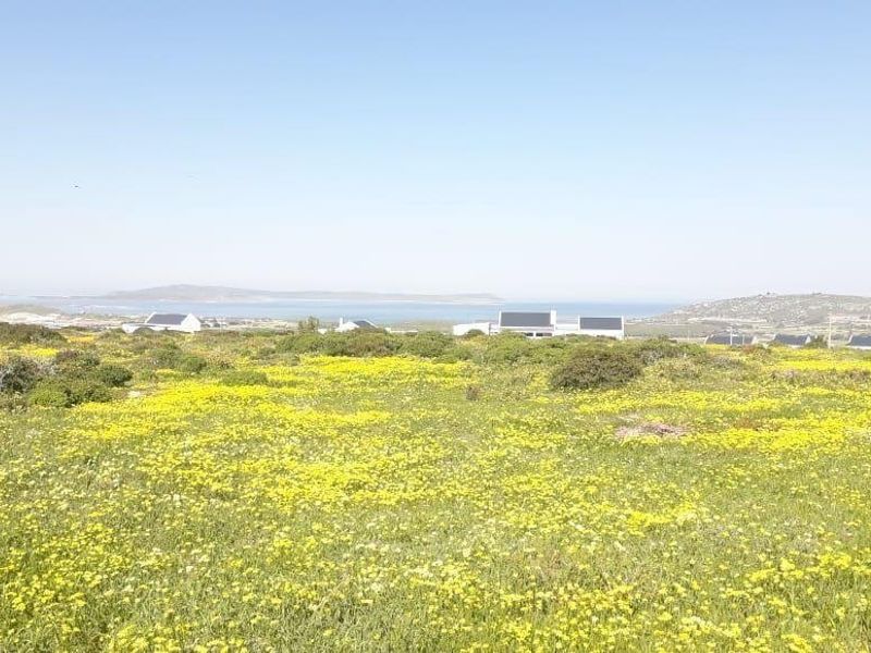 Vacant Land For Sale In Saldanha - Photo 2