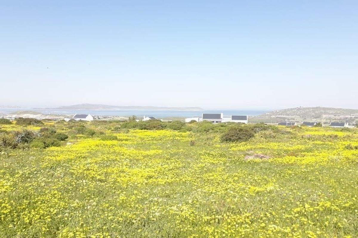 Vacant Land For Sale In Saldanha - Photo 2